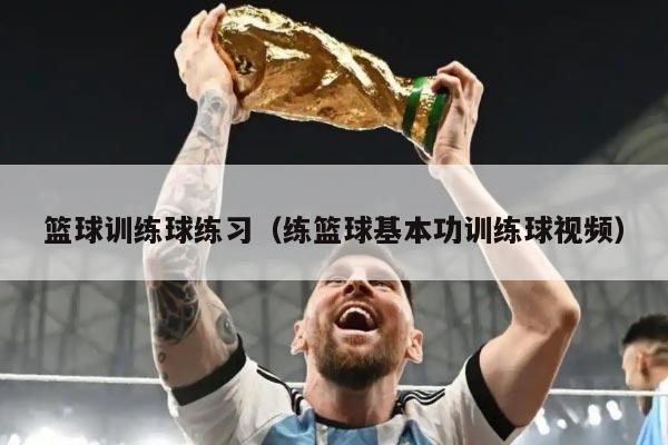 篮球训练球练习（练篮球基本功训练球视频）