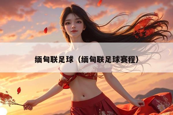 缅甸联足球（缅甸联足球赛程）