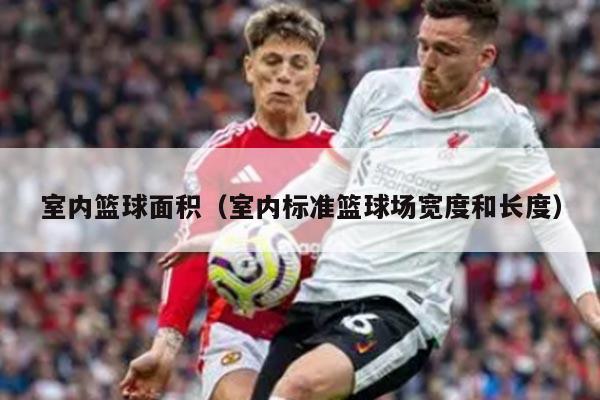 室内篮球面积（室内标准篮球场宽度和长度）
