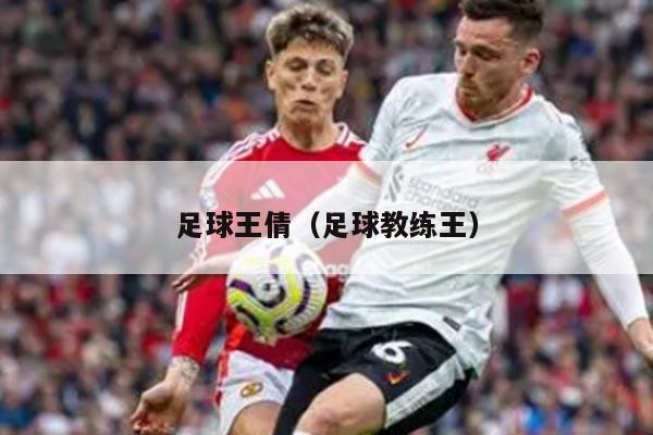 足球王倩（足球教练王）