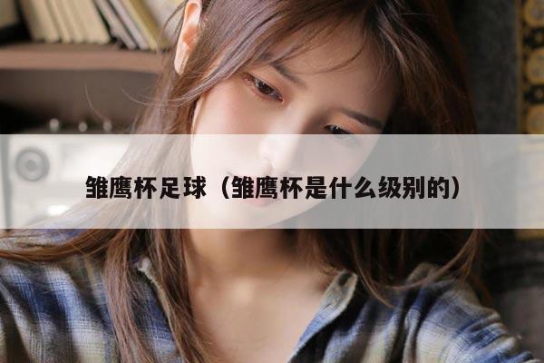 雏鹰杯足球（雏鹰杯是什么级别的）