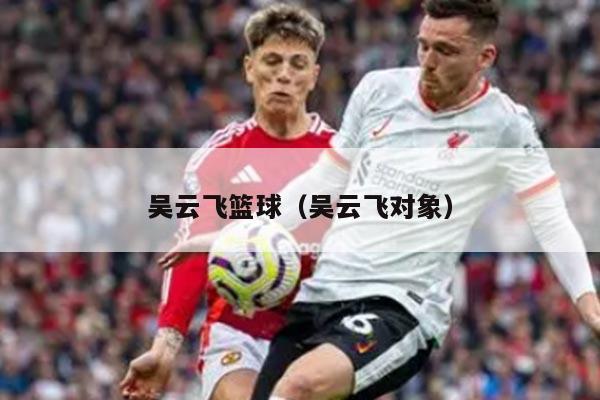 吴云飞篮球（吴云飞对象）