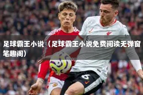 足球霸王小说（足球霸王小说免费阅读无弹窗笔趣阁）