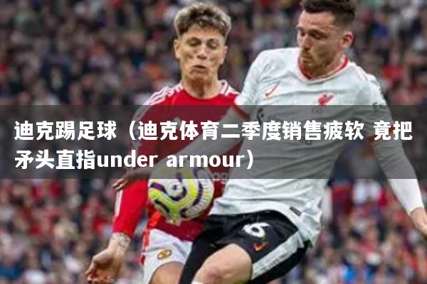 迪克踢足球（迪克体育二季度销售疲软 竟把矛头直指under armour）