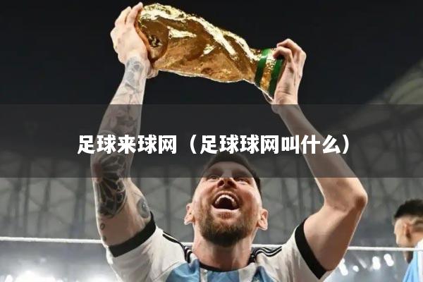 足球来球网（足球球网叫什么）