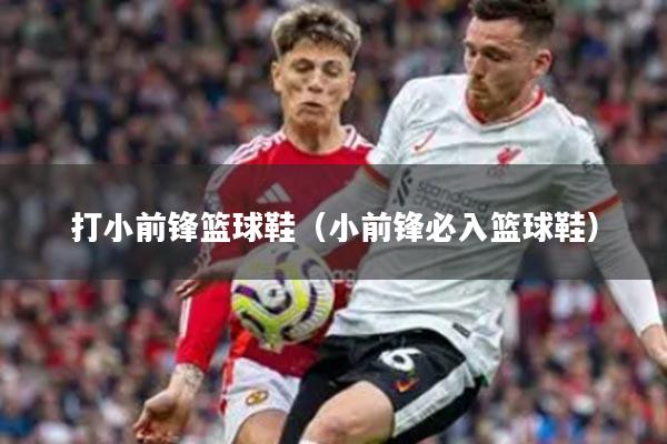 打小前锋篮球鞋（小前锋必入篮球鞋）