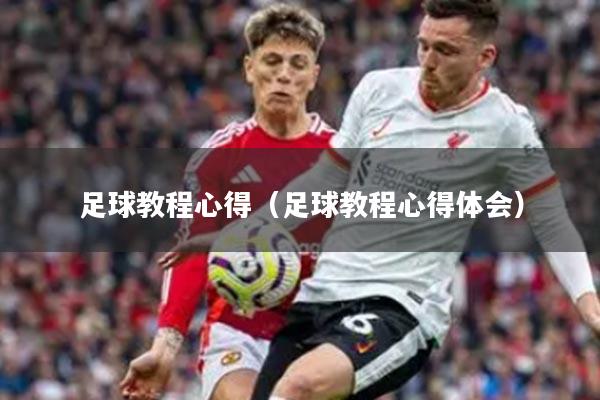 足球教程心得（足球教程心得体会）
