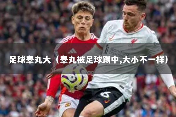 足球睾丸大（睾丸被足球踢中,大小不一样）