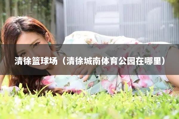 清徐篮球场（清徐城南体育公园在哪里）