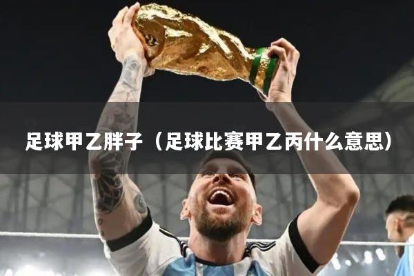 足球甲乙胖子（足球比赛甲乙丙什么意思）