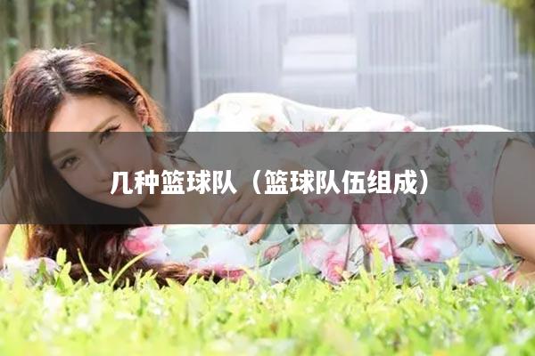 几种篮球队（篮球队伍组成）