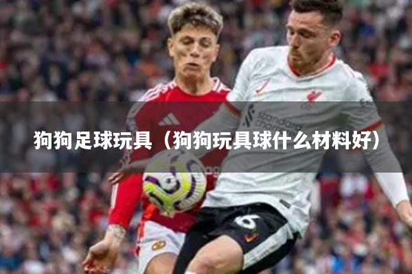 狗狗足球玩具（狗狗玩具球什么材料好）
