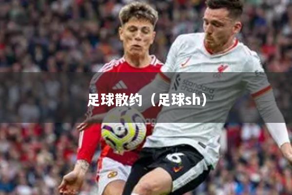足球散约（足球sh）