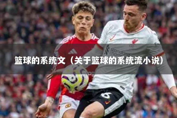 篮球的系统文（关于篮球的系统流小说）