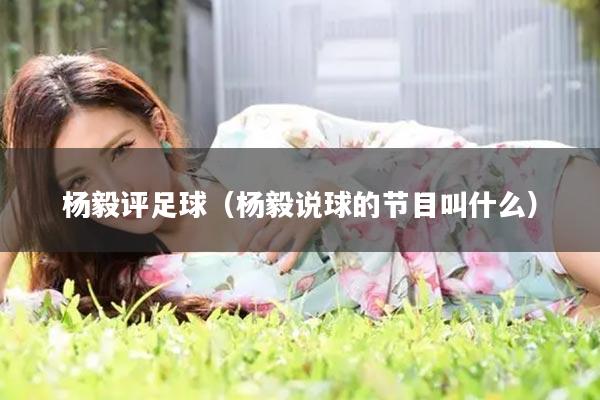 杨毅评足球（杨毅说球的节目叫什么）