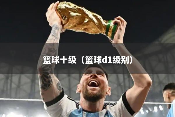篮球十级（篮球d1级别）