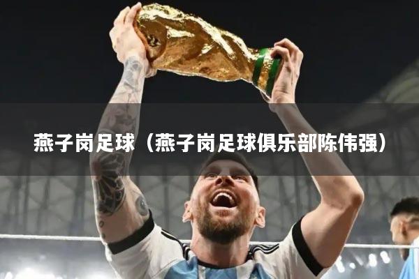 燕子岗足球（燕子岗足球俱乐部陈伟强）