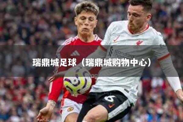 瑞鼎城足球（瑞鼎城购物中心）