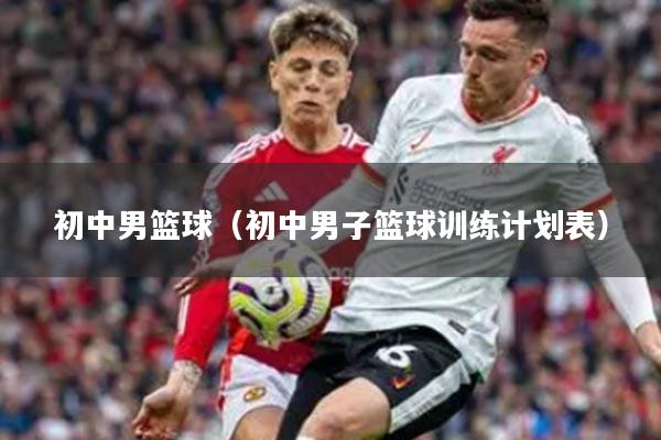 初中男篮球（初中男子篮球训练计划表）