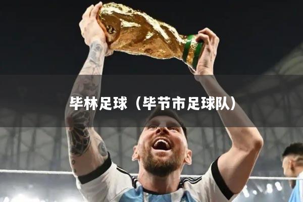 毕林足球（毕节市足球队）