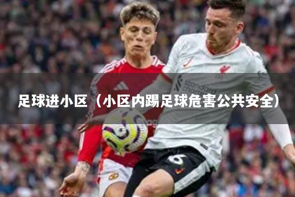 足球进小区（小区内踢足球危害公共安全）